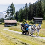 Carriage ride B&uuml;nda Davos Dorf - Teufi (Dischma valley) (oua_65360934_image)