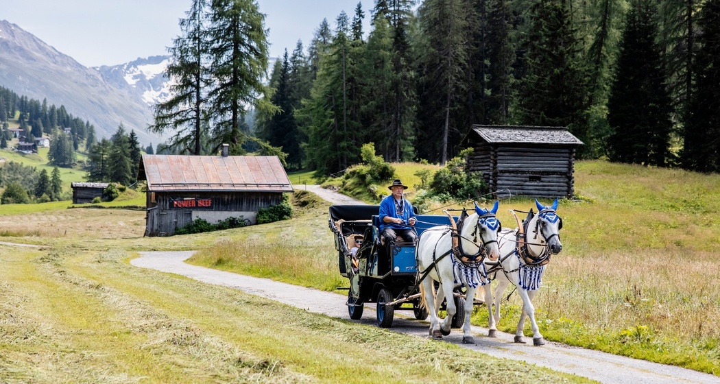 Kutschenfahrt Bünda Davos Dorf - Teufi (Dischmatal) (oua_65360934_image)