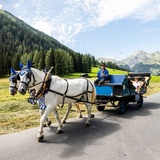 Carriage ride B&uuml;nda Davos Dorf - Teufi (Dischma valley) (oua_65360942_image)