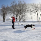 Frauenkirch-Islen (Hundeloipe) (oua_65498602_image)
