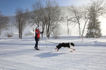Frauenkirch-Islen (Hundeloipe) (oua_65498602_image)
