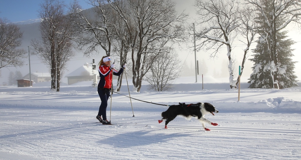 Frauenkirch-Islen (Hundeloipe) (oua_65498602_image)
