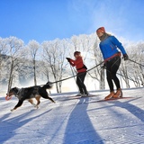 Frauenkirch-Islen (Hundeloipe) (oua_65498606_image)