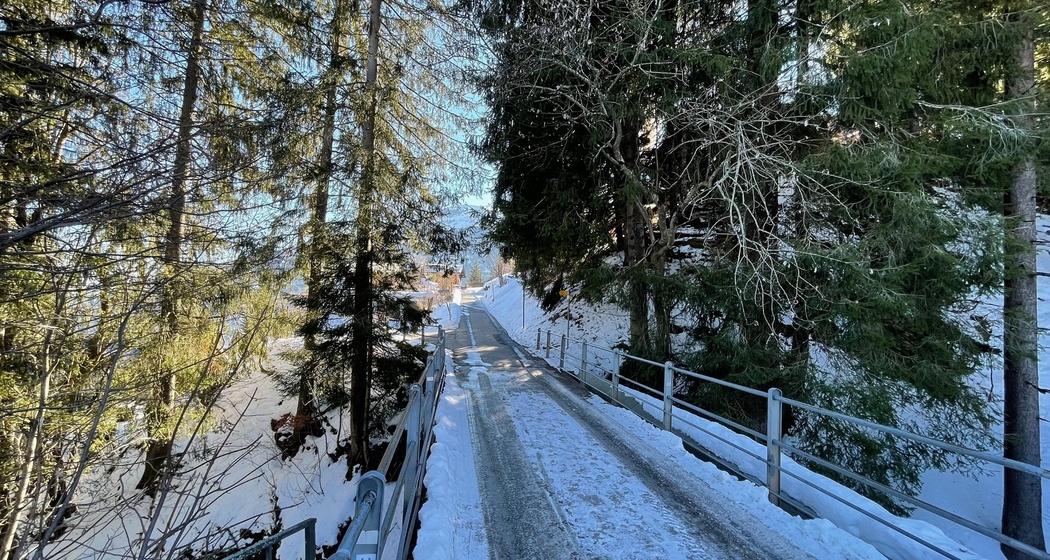 Weg von Tannenheim nach Angettlin
