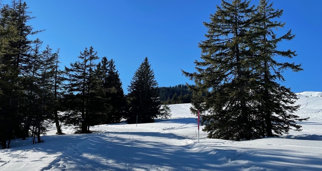 Winterwanderweg Tannenheim-Prodalp