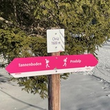 Segnaletica Chrüz verso Prodalp e Tannenboden