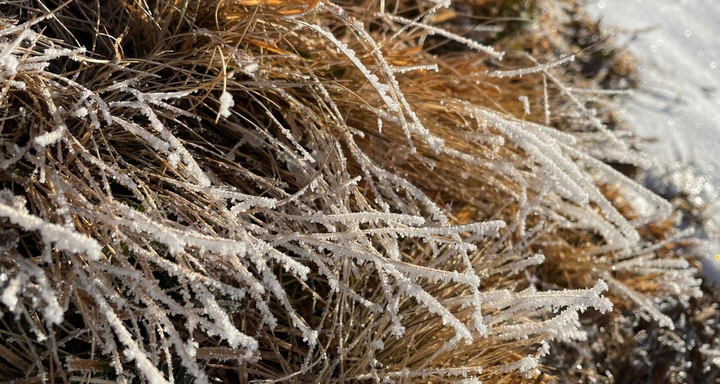 Detailaufnahme Winterwandern