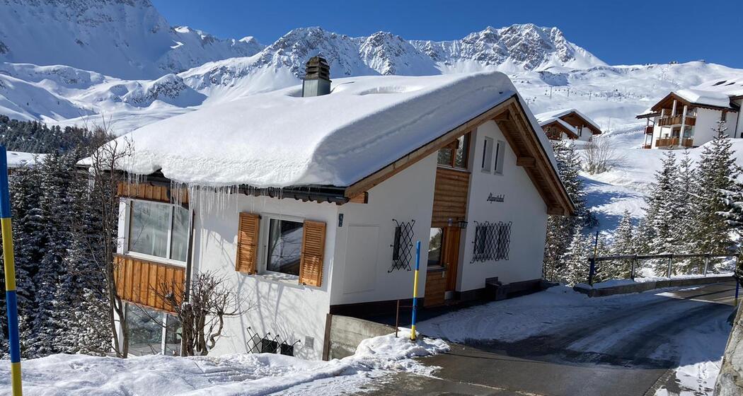 alpentobel in de sneeuw