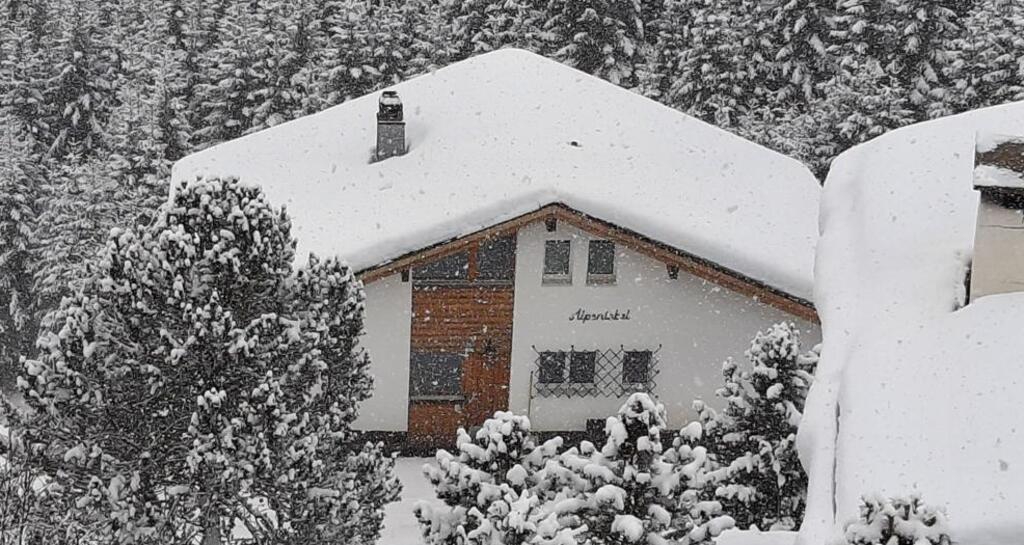 alpentobel als het sneeuwt