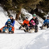 Schatzalp-Schlittelbahn (oua_65654566_image)