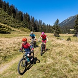 331 Alp Garfiun (E-MTB tauglich) (oua_65670206_image)