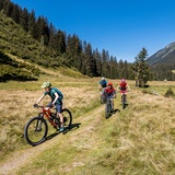 331 Alp Garfiun (E-MTB tauglich) (oua_65670219_image)