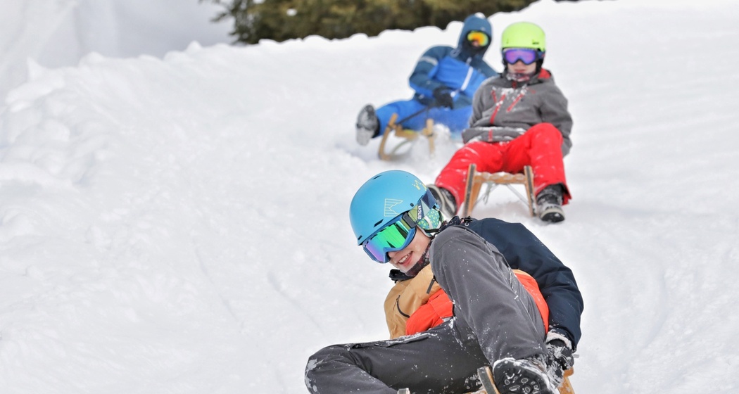 Schlittelbahn Guggerstein - Aeuja (oua_65670424_image)