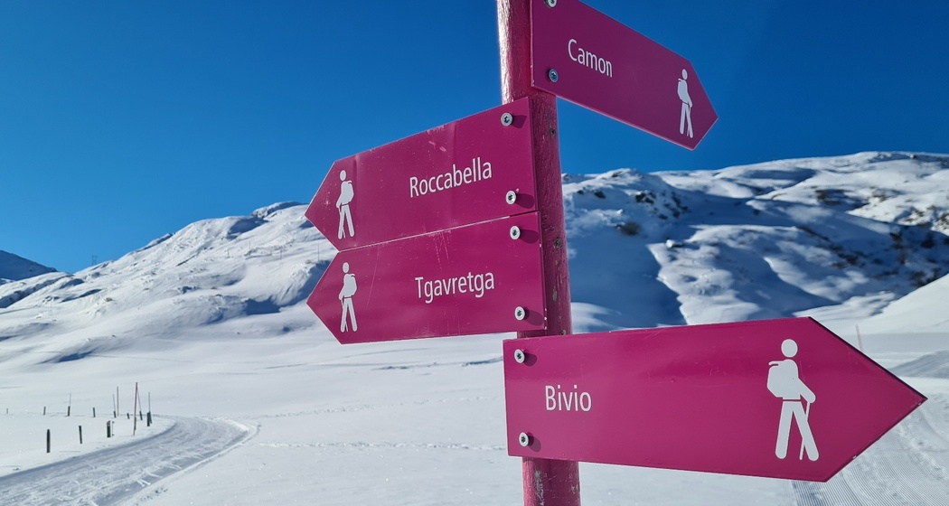 Bivio - Barscheinz - Bivio (oua_65670692_image)