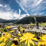 Visite de la ville de Davos (oua_65684850_image)