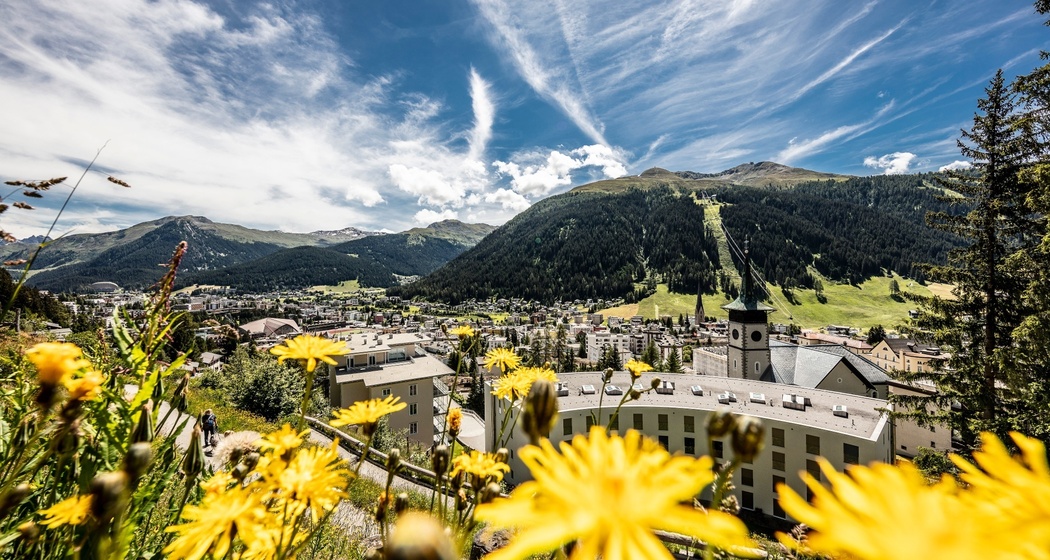 Davos City Tour (oua_65684850_image)