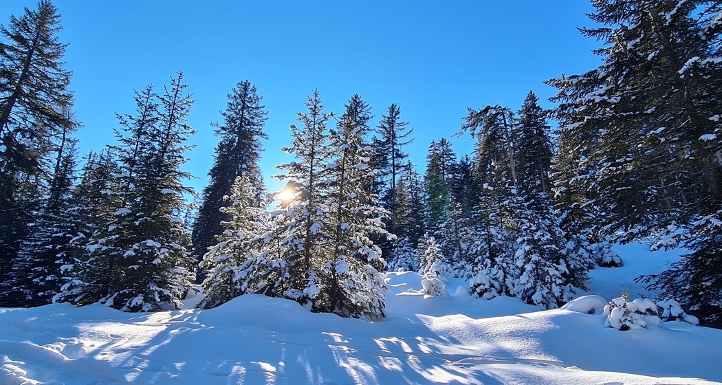 Tigignas - Parnoz - Savognin (oua_65831125_image)