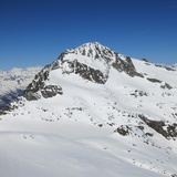 Rheinwaldhorn