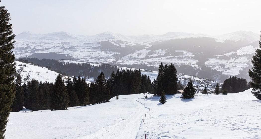 Winterwandern: Brigels - Artugl (oua_65886790_image)
