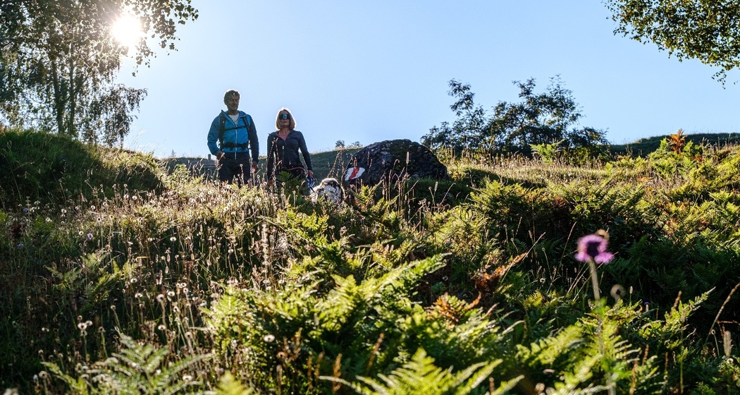 Schanfigger Dörferweg_Molinis - Tschiertschen