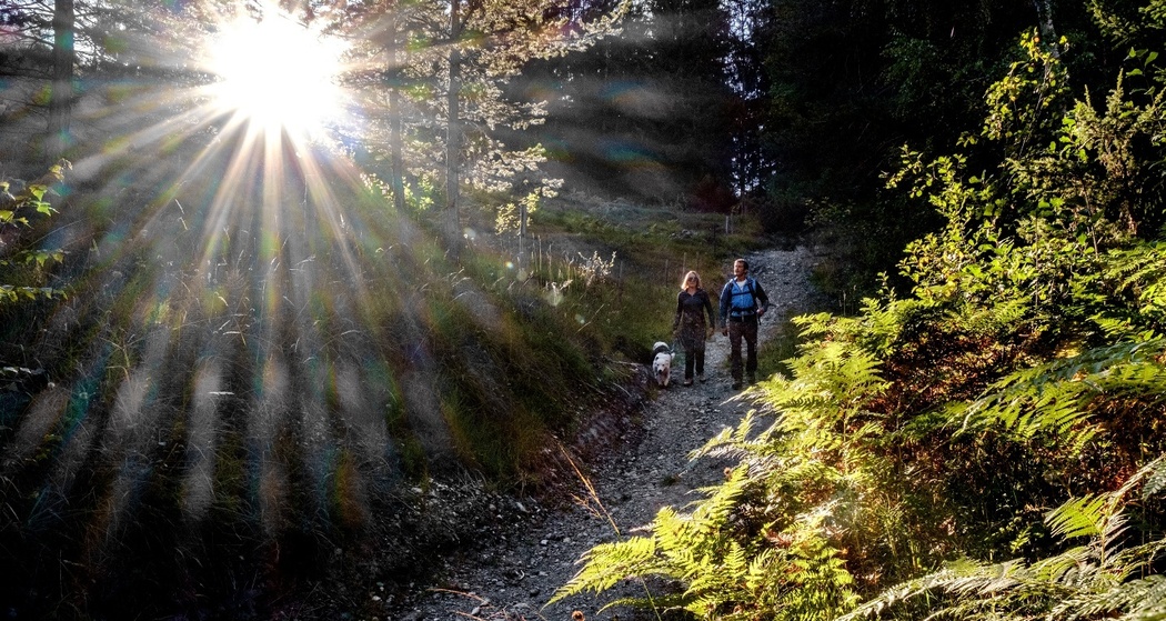 Dörferweg_Tschiertschen-Molinis
