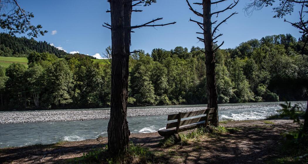 Rheinschlucht Wanderung: Ruinaulta Sut (656.1) (oua_66048707_image)