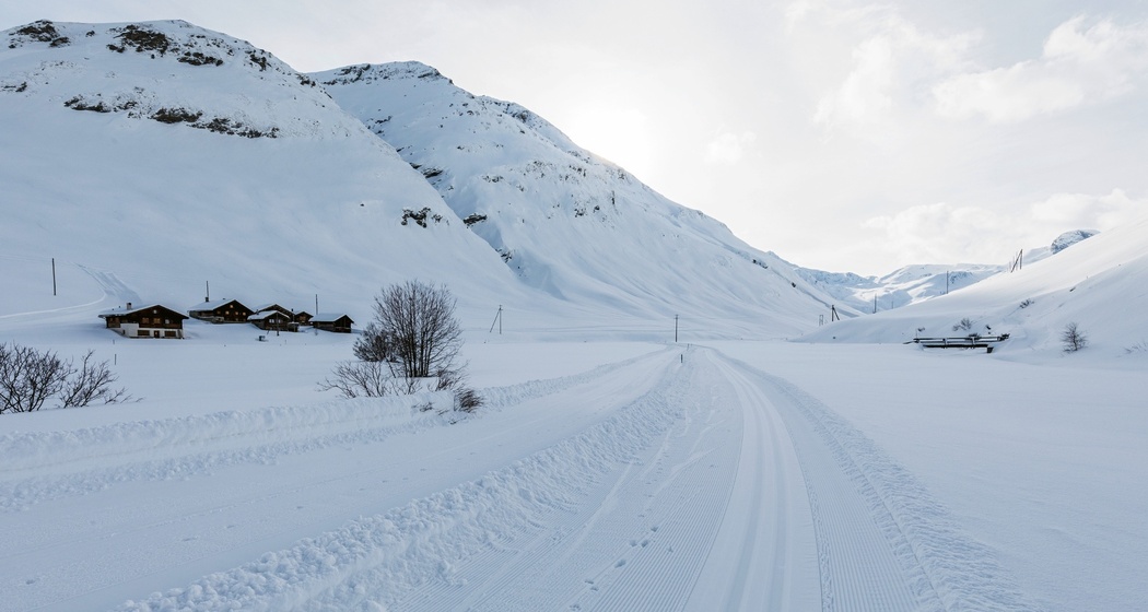 Einlauf in das Bergalgatal in Richtung Gletscherhorn