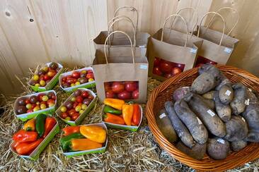 Glennerhof in Castrisch (oua_66235659_image)