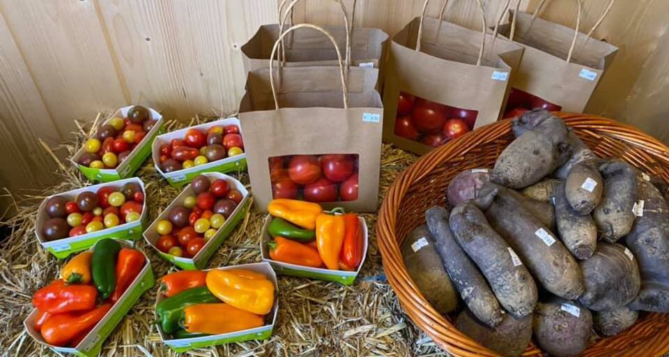 Glennerhof in Castrisch (oua_66235659_image)