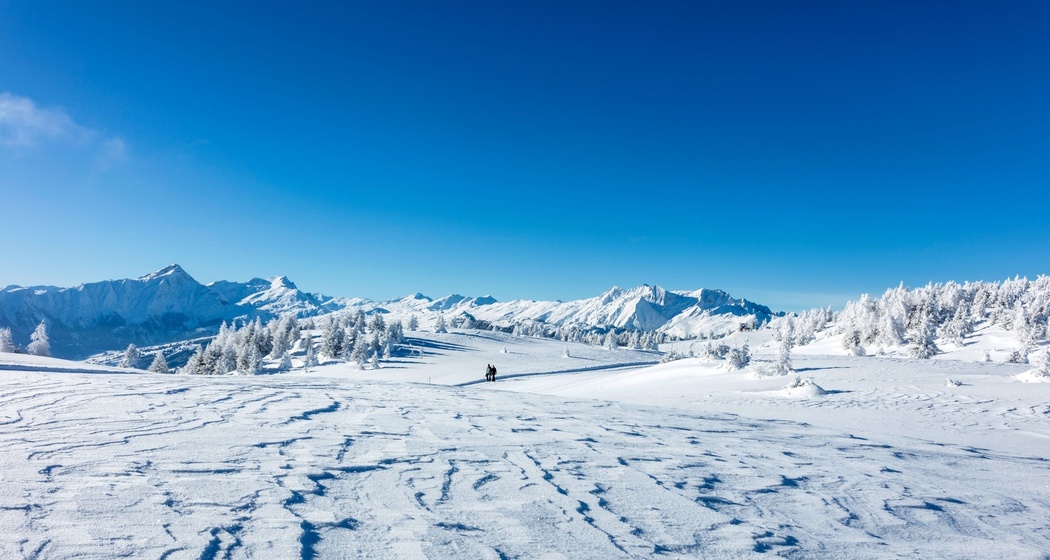 Herrliche Winterstimmung auf der Hochebene Dreibündenstein