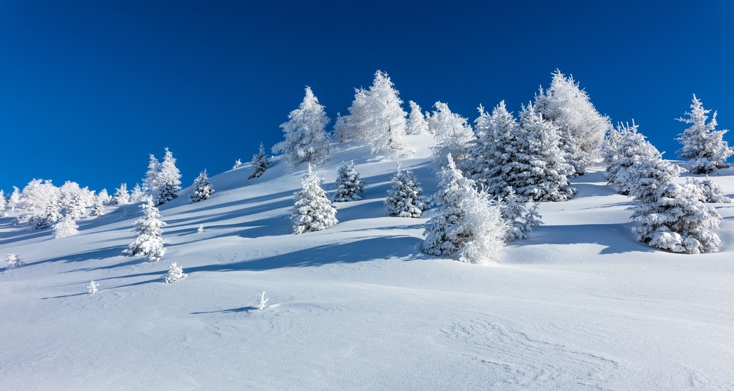 Verschneite Landschaft auf der Hochebene Dreibündenstein