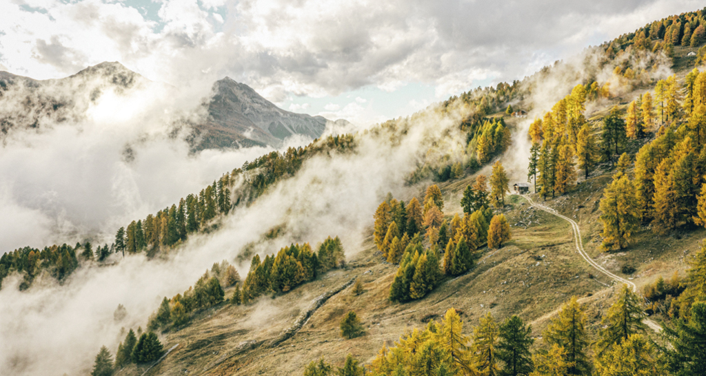 Trai(l)s Vals – 3. Etappe: Scuol – Val Müstair (oua_66398095_image)