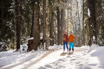Engadine Ice Trail (oua_66580874_image)