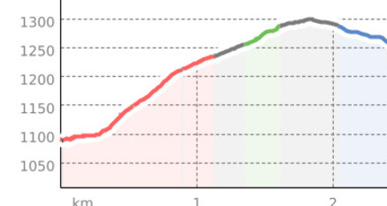 Trutg dil Flem: Rundtour 1. - Bergbahnen Flims – Punt Gronda – Bergbahnen Flims (oua_66673919_1d4cd2b_profile)