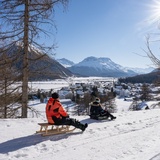 Schlittelweg Crasta Mora