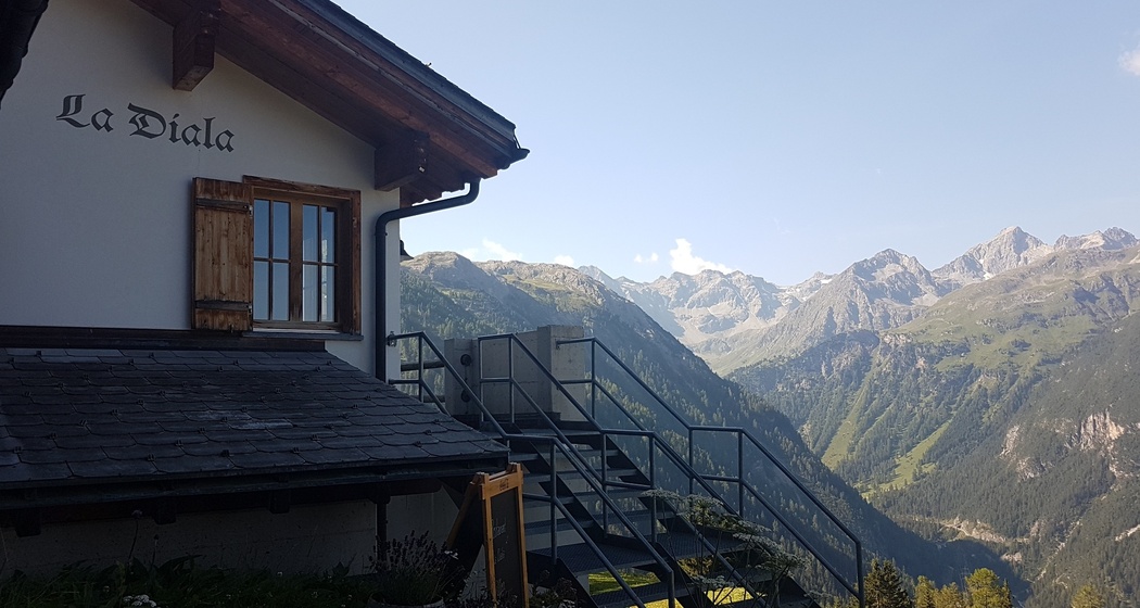 Bergwald-Wundertüte, Darlux (oua_66821066_image)