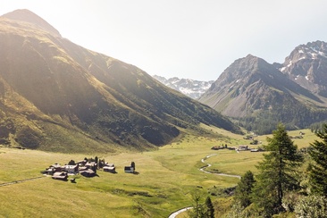 Sertig (oua_66839032_image)