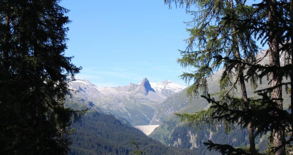 Etappe 3: Blick auf das Zervreilahorn, Vals