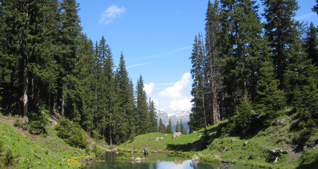 Etappe 17: Grüenseeli, Arosa