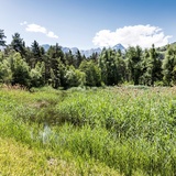 The cantonal nature reserve Munté near Cazis