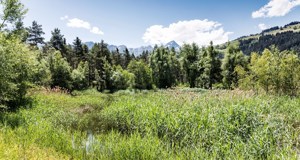 Das kantonale Naturschutzgebiet Munté bei Cazis