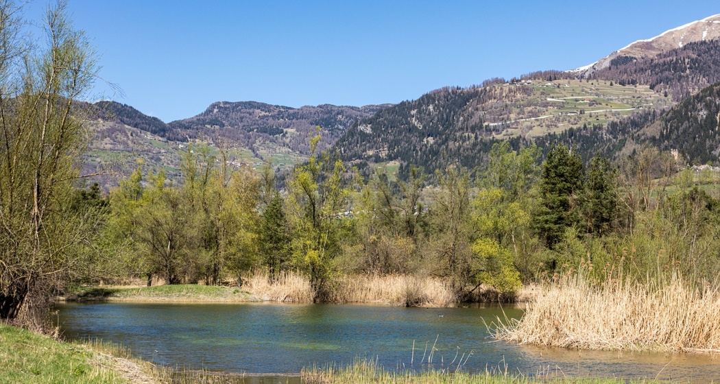 Das kantonale Naturschutzgebiet Munté bei Cazis