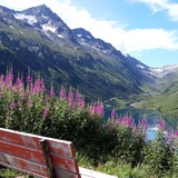 206 Nalps Bike (oua_67047581_image)