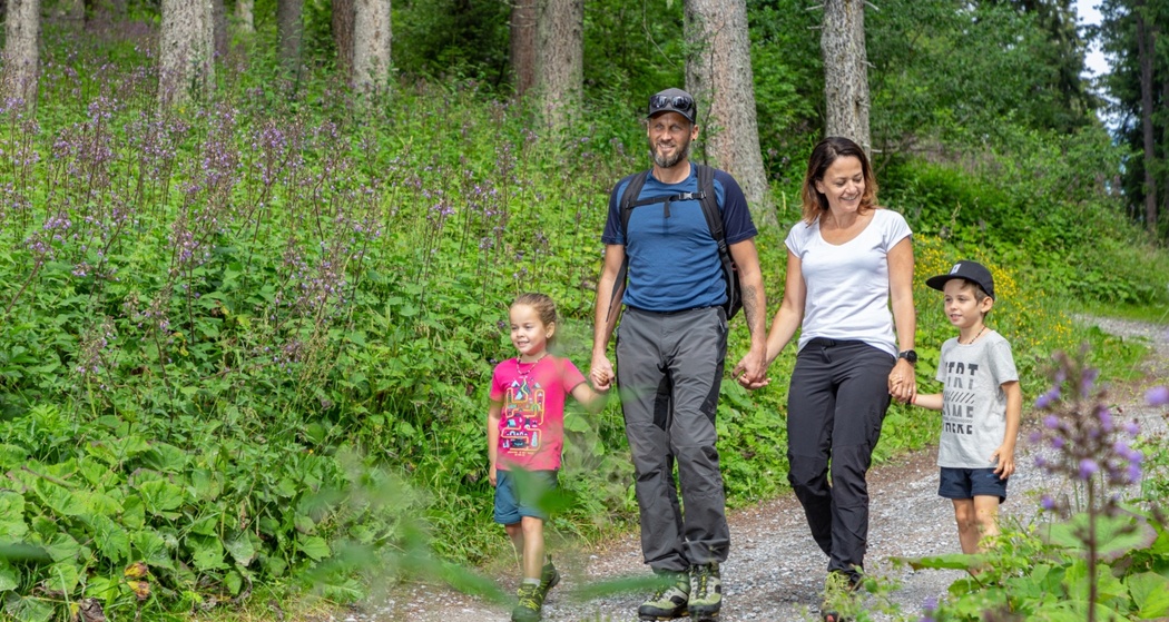 Rundwanderung Linaus, Morissen (oua_67069593_image)