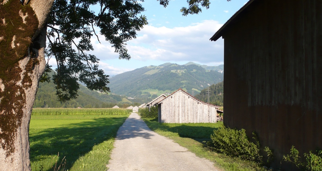 Idyllische Talspaziergänge rund um Grüsch