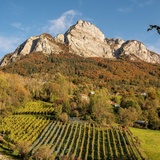 Gonzen con vigneti a Sargans