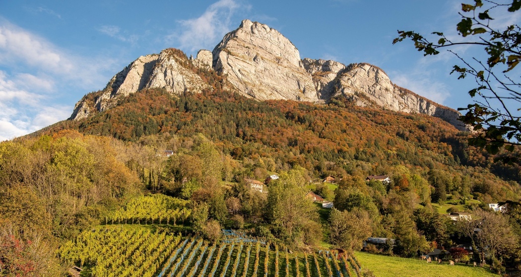 Gonzen mit Rebberge in Sargans