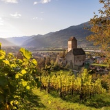 Château de Sargans Vue depuis les vignes