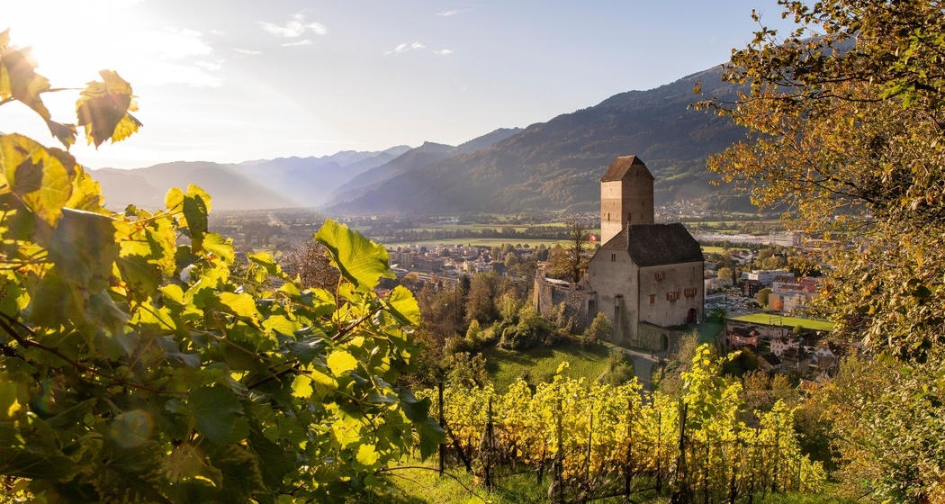 Schloss Sargans Blick aus den Reben