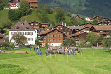 Traditioneller Viehmarkt in Jenaz